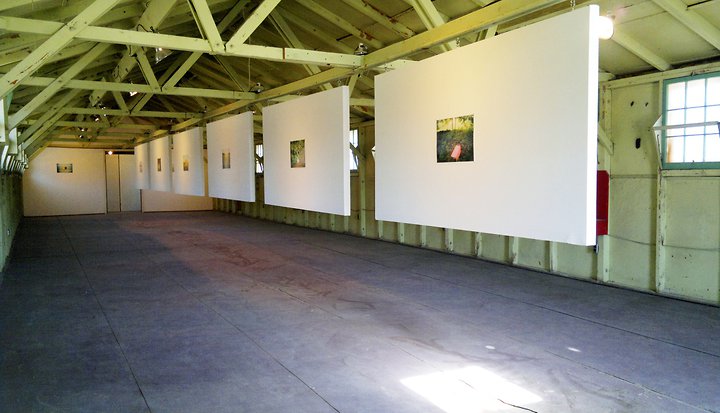 Alkali Desert, Wendover installation view