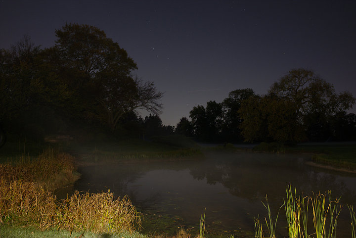 Pond, Milwaukee, 2013