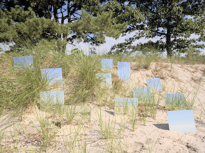 Mirrors on Beach with Trees