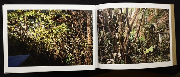 Dan Torop, Lone Garden, Lone Lake, ASMR4v3, pp. 12-13